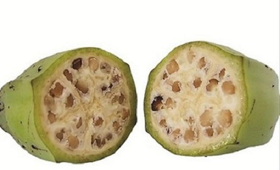 Bài thuốc chữa sỏi thận bằng Đông y