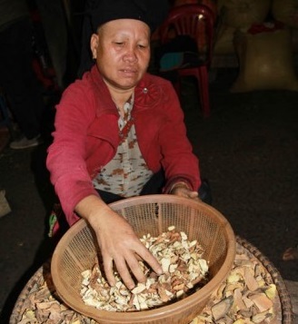 Bí truyền về bài thuốc giúp gan khỏe của người Dao Đỏ