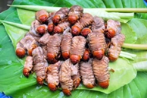 Con cơ đang - “thần dược tráng kiện”của đàn ông Cơ Tu