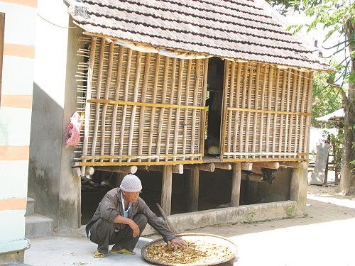 Lương y La Chí Thái: Giỏi nghề, luôn đề cao y đức