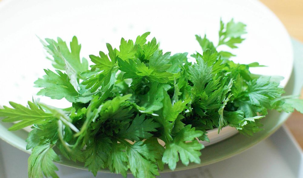 Ngải cứu có tác dụng điều kinh rất hiệu quả 