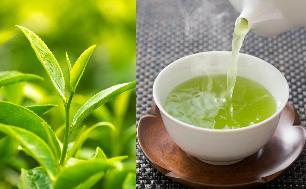 7 thức uống giúp thải độc gan tự nhiên